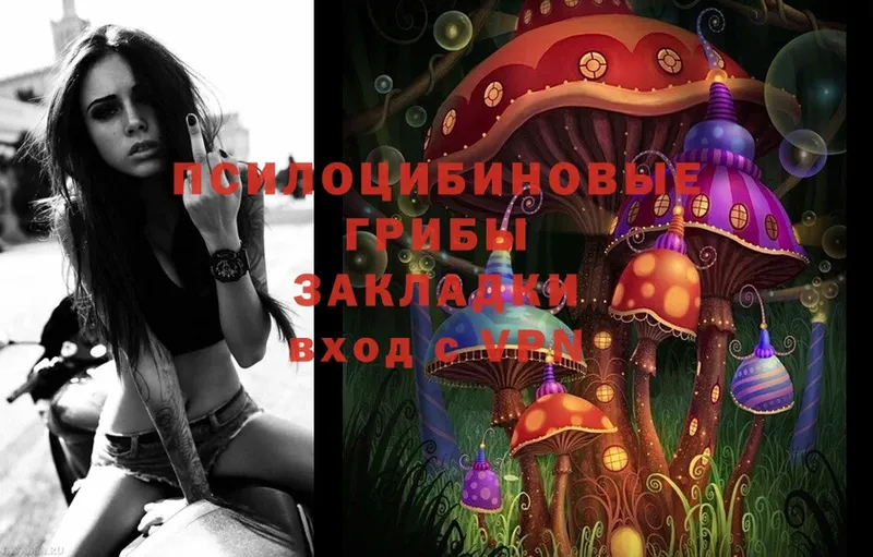 Галлюциногенные грибы MAGIC MUSHROOMS Сергач